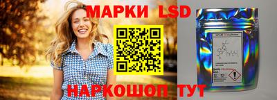 дмт Дубна