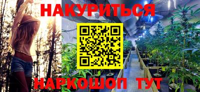 дмт Дубна