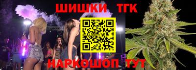 дмт Дубна