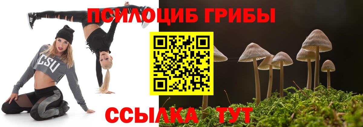 Нарткала  Псилоцибиновые грибы мицелий  Вход с VPN 